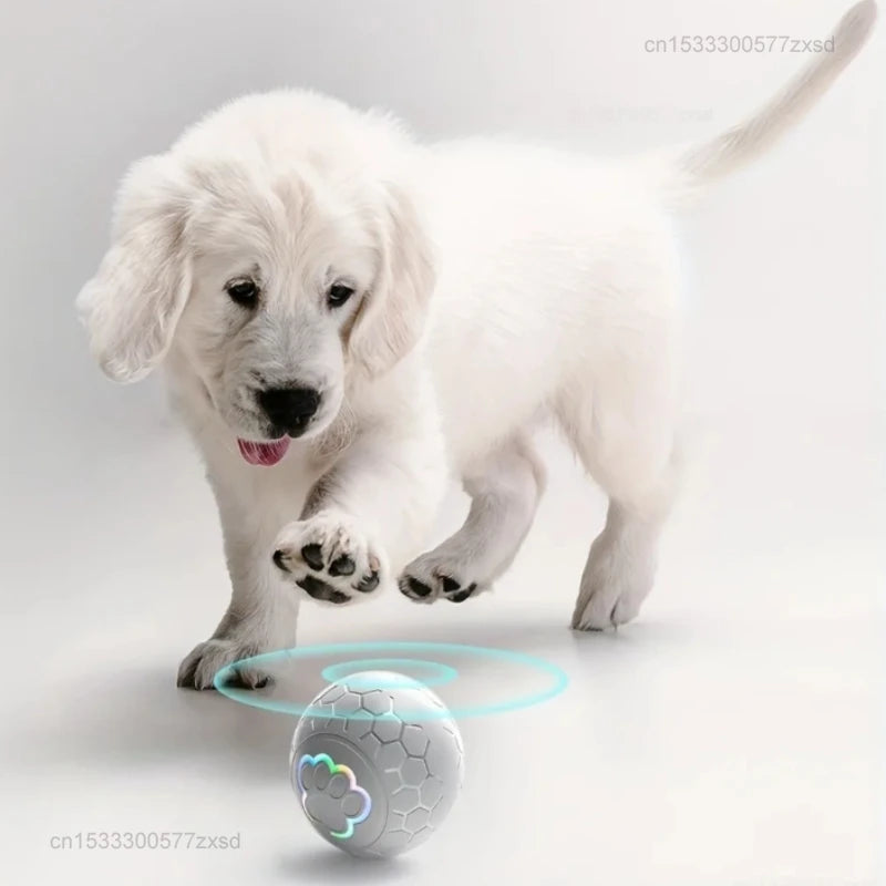 Smart Interactive Pet Toy Ball with RGB Lights