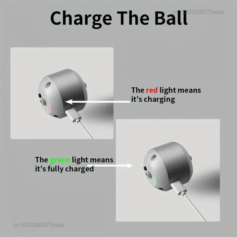 Smart Interactive Pet Toy Ball with RGB Lights
